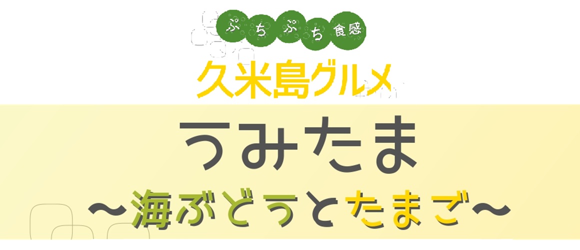 久米島グルメ「うみたま」