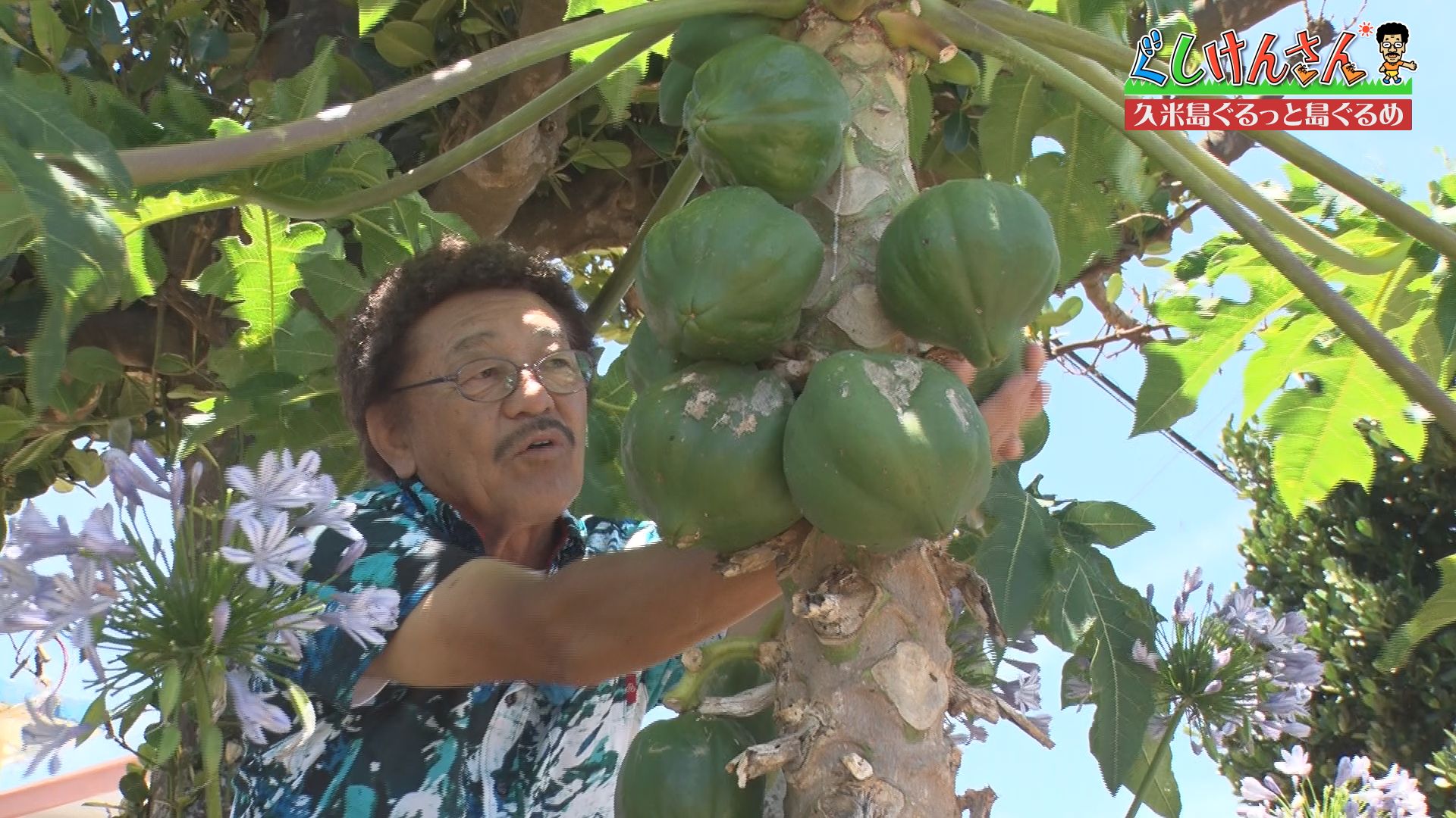OTVぐしけんさん